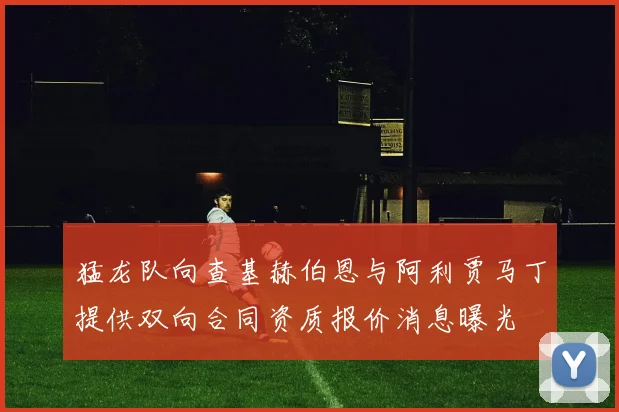 猛龙队向查基赫伯恩与阿利贾马丁提供双向合同资质报价消息曝光